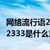 网络流行语23333是什么意思（网络用语中的2333是什么意思）