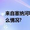 来自塞纳河畔的火烈鸟飞落苏州河 具体是什么情况?