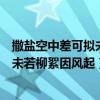 撒盐空中差可拟未若柳絮因风起哪个更好（撒盐空中差可拟未若柳絮因风起）