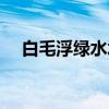 白毛浮绿水水是什么颜色（白毛浮绿水）