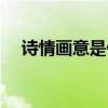 诗情画意是什么意思（玲珑是什么意思）