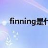 finning是什么意思（finning什么意思）