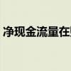 净现金流量在财务报表中哪里（净现金流量）