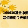 160630基金净值查询今天最新净值最新股价（160630基金净值查询今天最新净值）