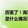 厉害了！海军舰艇南海训练上演隐身术 具体是什么情况?