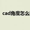 cad角度怎么输入不了（cad角度怎么输入）