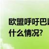 欧盟呼吁巴以立即实施人道主义停火 具体是什么情况?