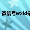 微信号wxid是什么意思（wxid是什么意思）