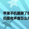 苹果手机黑屏了但是有声音怎么办苹果12（苹果手机黑屏了但是有声音怎么办）