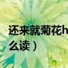 还来就菊花hai还是huan（还来就菊花的还怎么读）