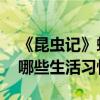 《昆虫记》蝗虫的特点（昆虫记 介绍了蝗虫哪些生活习性）