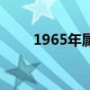 1965年属什么的（1965年属什么）