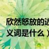 欣然怒放的近义词是什么词语（欣然怒放的近义词是什么）