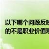 以下哪个问题反映的不是职业价值观?A（以下哪个问题反映的不是职业价值观）