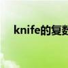 knife的复数英文怎么写（knife的复数）