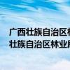 广西壮族自治区林业局直属事业单位招聘503人公告（广西壮族自治区林业局）