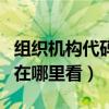 组织机构代码在营业执照哪里（组织机构代码在哪里看）