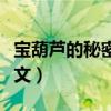 宝葫芦的秘密全文在线阅读（宝葫芦的秘密全文）