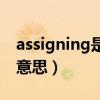 assigning是什么意思（assignment是什么意思）