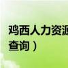 鸡西人力资源和社保卡查询（鸡西社会保障卡查询）