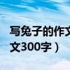 写兔子的作文300字小学四年级（写兔子的作文300字）