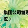 集团公司管理架构设计（企业高管包括哪些职位）