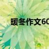 暖冬作文600字初中记叙文（暖冬作文）