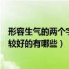 形容生气的两个字的成语（形容比较生气的两个字的词语比较好的有哪些）