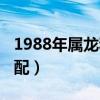 1988年属龙和什么最配（1988年属龙的人婚配）