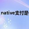 native支付是什么意思（native是什么意思）