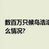 数百万只候鸟浩浩荡荡！官厅水库迎“南迁大军” 具体是什么情况?