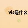 vis是什么意思中文（vis是什么意思）