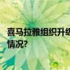 喜马拉雅组织升级聚焦客户成功推动可持续增长 具体是什么情况?