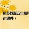 新苏教版五年级科学上册全册ppt（苏教版五年级科学下册ppt课件）