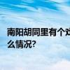 南阳胡同里有个戏剧梦工厂创排演、吃喝住一条龙 具体是什么情况?