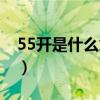 55开是什么意思网络用语（55开是什么意思）