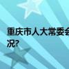 重庆市人大常委会表决通过一批人事任免事项 具体是什么情况?