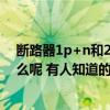 断路器1p+n和2p的区别（请问断路器1p和2p的区别是什么呢 有人知道的吗）