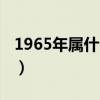 1965年属什么生肖啥命（1965年属什么生肖）