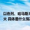 以色列、哈马斯30日早晨分别发表声明称双方当天将继续停火 具体是什么情况?