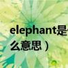 elephant是什么意思怎么读（elephant是什么意思）