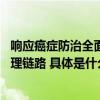 响应癌症防治全面行动,轻松集团打造肿瘤诊疗全周期健康管理链路 具体是什么情况?