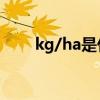 kg/ha是什么单位（ha是什么单位）