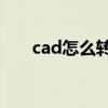 cad怎么转cdr文件（cad怎么转cdr）