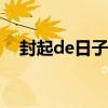 封起de日子博客文章（封起的日子去世）