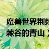 魔兽世界荆棘谷的青山任务奖励（魔兽世界荆棘谷的青山）