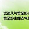 试述从气管至终末细支气管各段的结构变化特点（试述从气管至终末细支气管各段的结构变化）