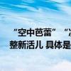 “空中芭蕾”“凌波微步”“积木拼接”……“国家队”又整新活儿 具体是什么情况?