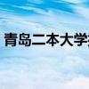 青岛二本大学排名及分数线（青岛二本大学）