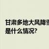 甘肃多地大风降雪G30连霍高速部分路段实施交通管制 具体是什么情况?